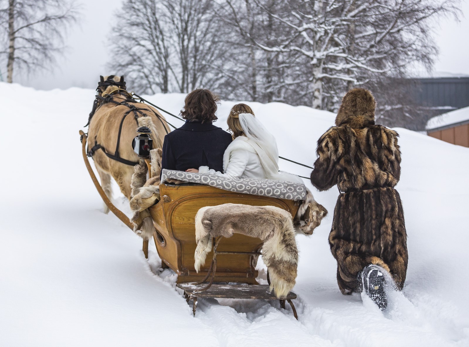 vinter