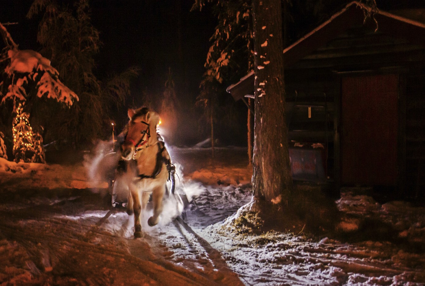 vinter